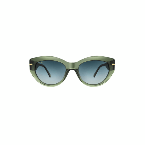 Polar Sunglass Model GOLD 128 COL.29