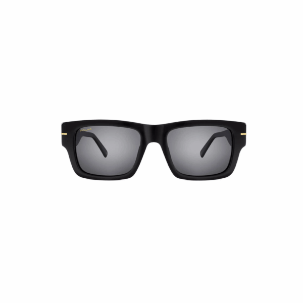 Polar Sunglass Model GOLD 126 COL.77