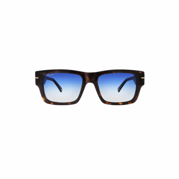 Polar Sunglass Model GOLD 126 COL.428Q