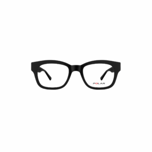 Polar Sunglass Model 1967 COL.77