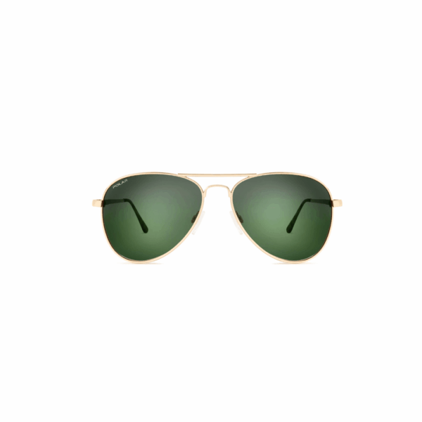 Polar Sunglass Model 664 COL.02