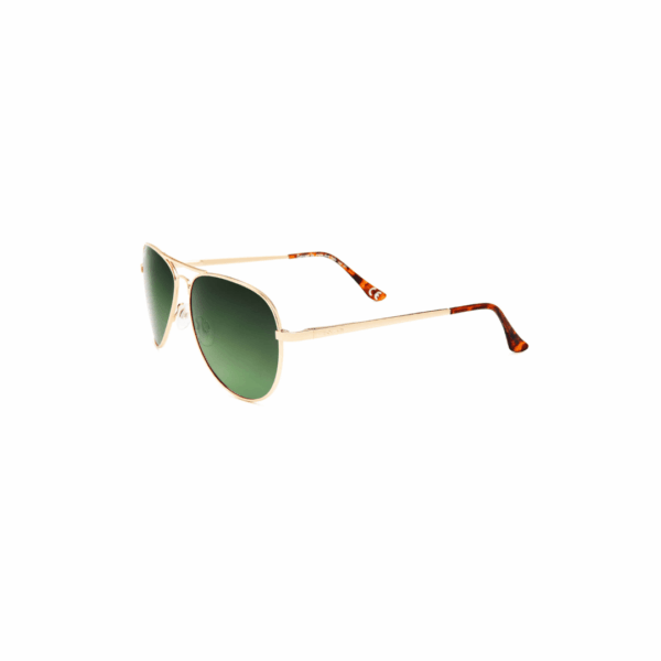 Polar Sunglass Model 664 COL.02