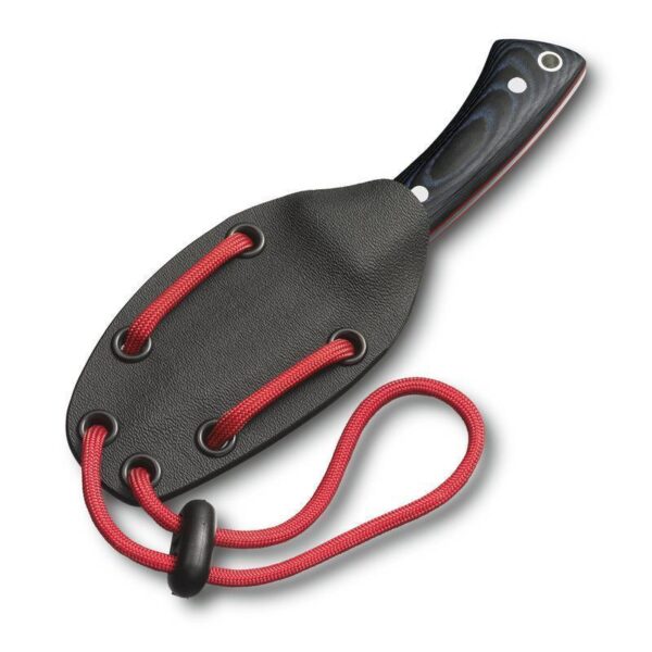 Outdoor Master Mic S