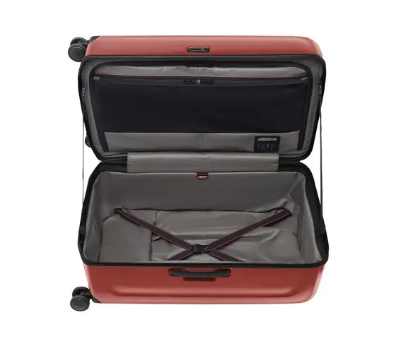 Spectra 3.0 Trunk Large Case