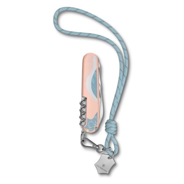 Companion Paris Style