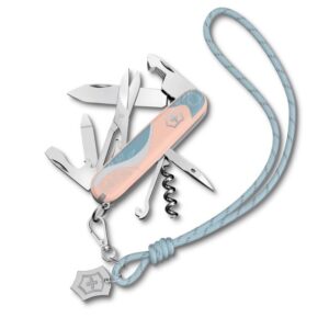 Companion Paris Style